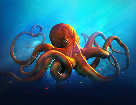 عکس اختاپوس خیلی بزرگ big octopus wallpaper