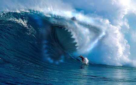 عکس حمله کوسه بزرگ به انسان big shark attack