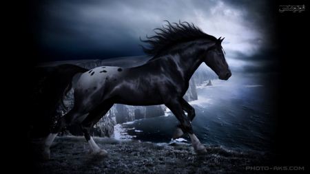 پوستر اسب سیاه  black horse wallpaper