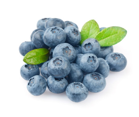 عکس میوه بلوبری blueberry