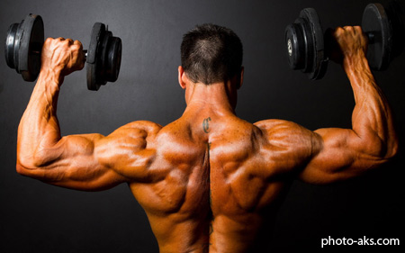 سایت تخصصی بدنسازی bodybuilding wallpapers