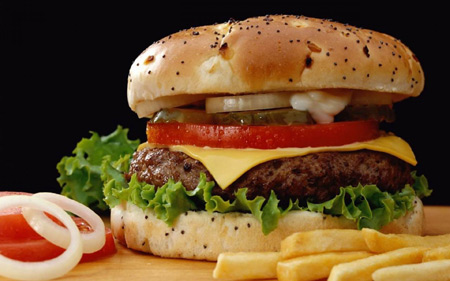 ساندویچ چیز برگر فست فود cheeseburger sandwaich fast food