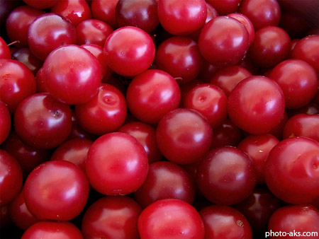میوه آلو cherry plums