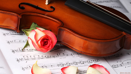 عکس گل رز و ویولن calssical music wallpaper