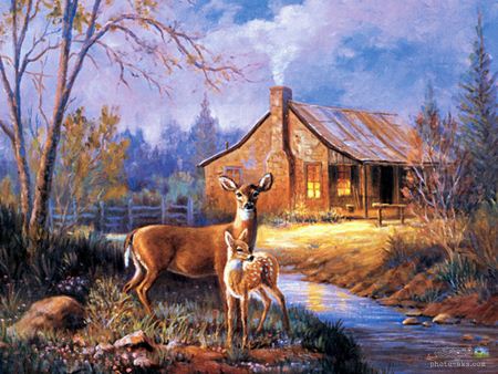 نقاشی زیبا از آهو ها deer painting wallpaper