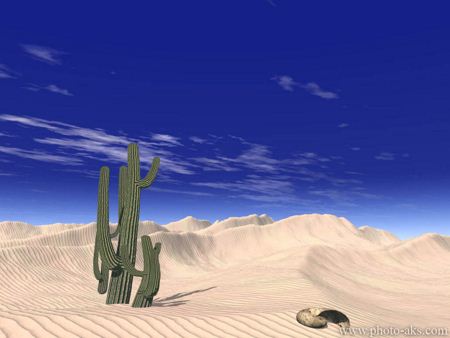 عکس کاکتوس در بیابان desert 3d landscape wallpapers