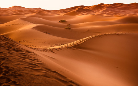 منظره شنهای بیابانی desert sand landscape