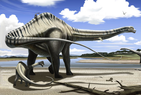 دایناسور دیپلودوکوس گیاه خوار dinosaur diplodocus