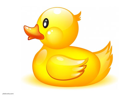 عکس کارتونی جوجه اردک duck golden cartoon