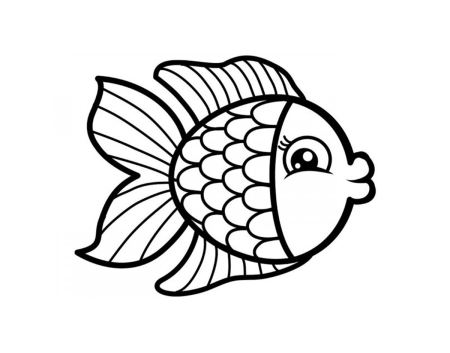 طرح رنگ آمیزی ماهی fish drawing