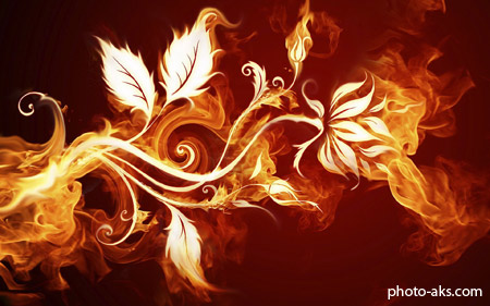 عکس انتزاعی گل در آتش flowers afire