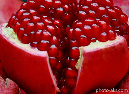 دانه های انار رسیده fruit pomegranate