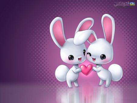 والپیپر عاشقانه خرگوش ها love funny rabbits