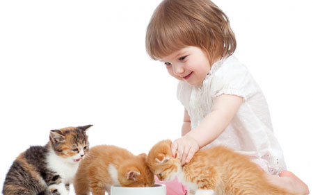 عکس بازی دختر بچه با گربه ها girl play kittens pet