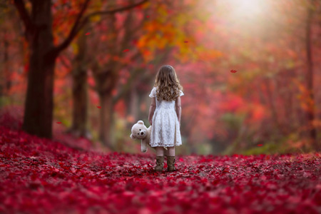 منظره دختر بچه در پاییز زیبا girl in red autumn