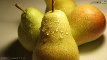 عکس گلابی Pears wallpaper