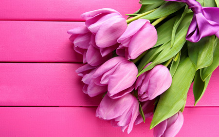 پوستر دسته گل لاله صورتی pink tulips flowers