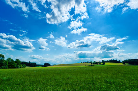 منظره دشت سبز با آسمان آبی green nature field