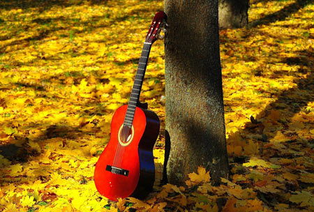 عکس گیتار قرمز در پاییز guitar autumn tree