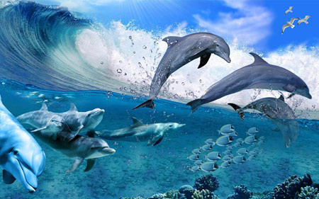 والپیپر جالب از دلفین های بازیگوش happy dolphins 