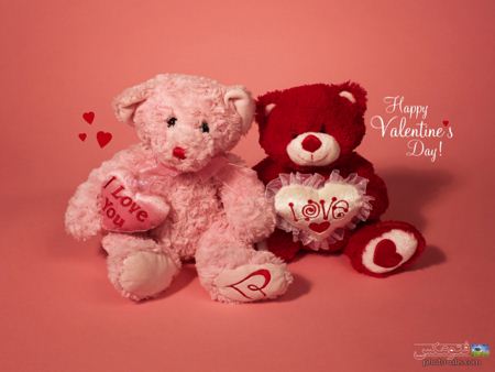عروسک های روز ولنتاین valentines day teddy