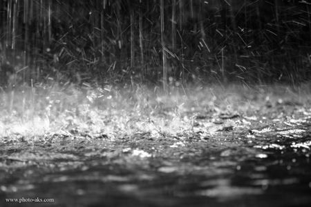 عکس بارش شدید باران heavy rain