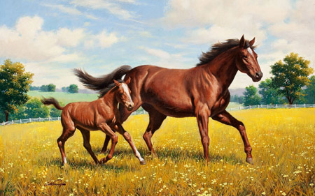 نقاشی زیبا اسب در حال دویدن horse stallion running draw