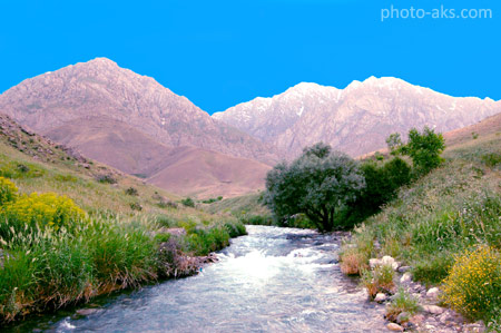 طبیعت ایران در فصل بهار iran beautiful nature spring