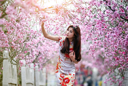 دختر زیبای ژاپنی و شکوفه بهاری dokhtar ziba shokofe bahar