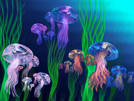 عکس های عروس دریایی jellyfish light