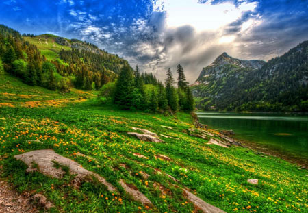 منظره بهاری طبیعت سوئیس lake mountain forest