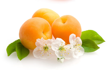 عکس میوه و گل زردآلو firuts flowers apricots
