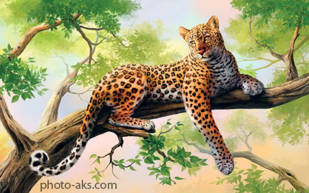نقاشی زیبا از پلنگ وحشی leopard painting
