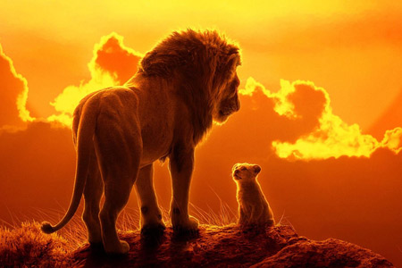 پوستر لیون کینگ lion king sunset wallpaper