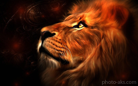 عکس گرافیکی شیر یالدار lion abstract wallpaper