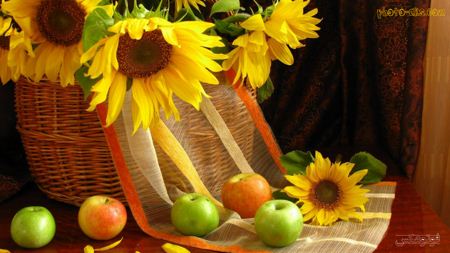 سبد گل آفتابگردان sun flower in basket