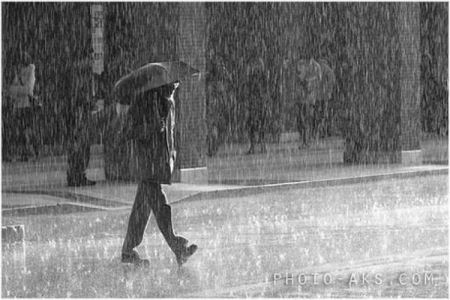 مرد در باران man in rain