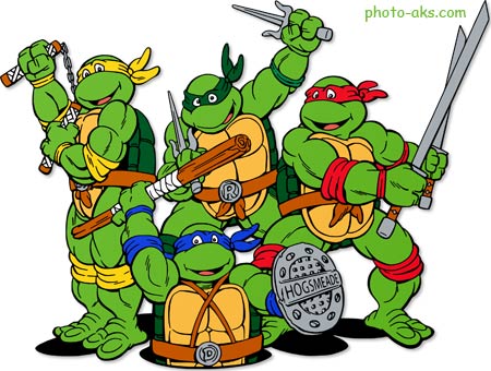 کارتون لاک پشت های نینجا ninja turtles cartoon
