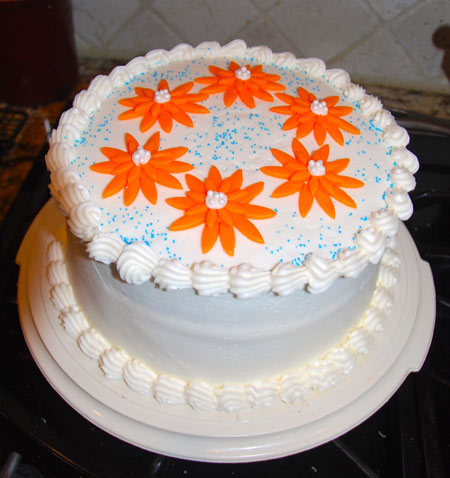 مدل تزیین کیک یک طبقه با خامه on layer cake design