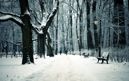 عکس زمستانی برفی پارک جنگلی park bench winter