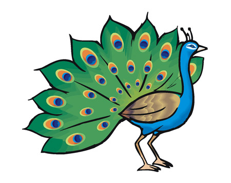 عکس نقاشی کارتونی طاووس peacock png clipart