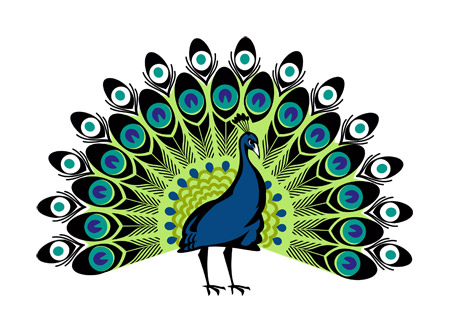 نقاشی کارتونی پرنده بهشتی طاووس peacock cartoon drawing