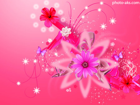والپیپر صورتی گلها زیبا pink flower background