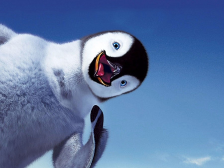 عکس بامزه از جوجه پنگوئن penguin baby funny pic