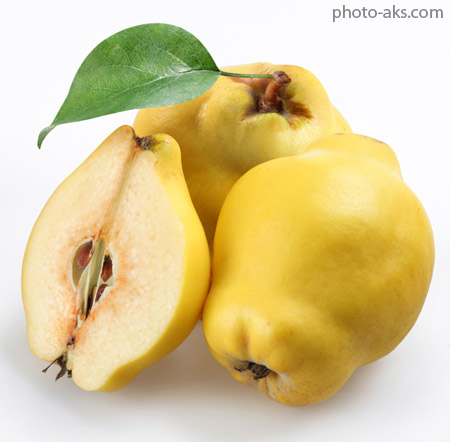 میوه به quince fruit