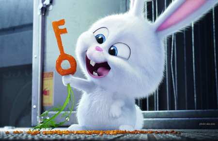 عکس کارتونی خرگوش بامزه سفید rabbit cute white