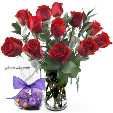 گلدان گل رز قرمز red roses pot