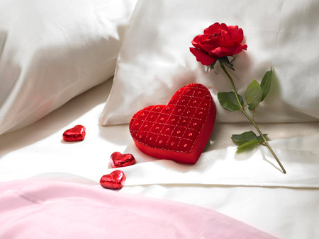 عکس عاشقانه گل رز و قلب red rose heart