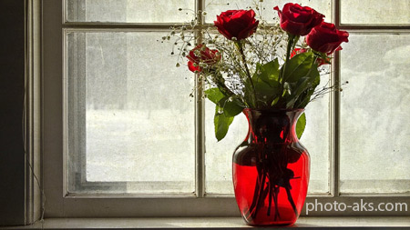 عکس گلدان گلهای رز rose vase flowers