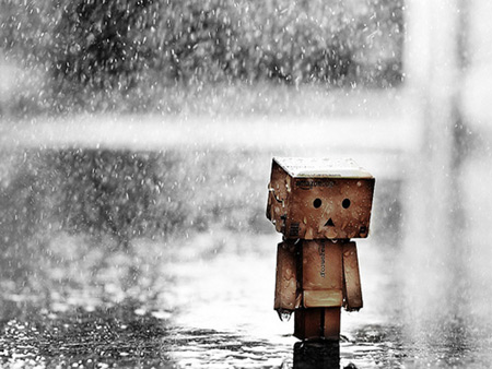 عکس غمگین زیر باران sad danbo rain